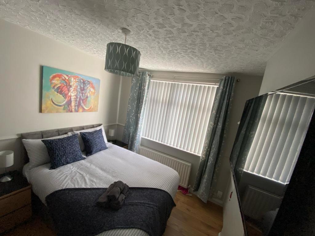 Connswater Town House Belfast Daire Dış mekan fotoğraf